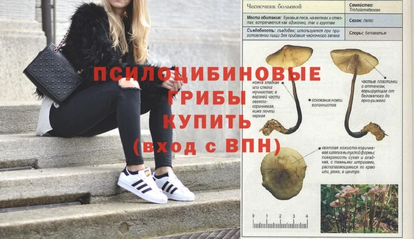 ECSTASY Алексин