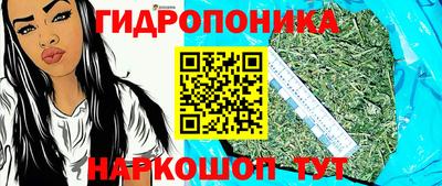 спиды Заволжье
