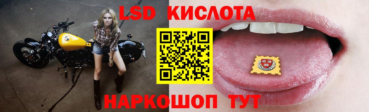 A PVP Магнитогорск