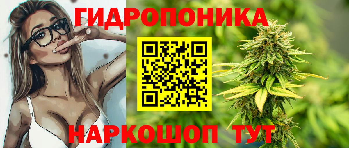 Марихуана Ganja  Каннабис план  Бошки марихуана план  Магнитогорск  Вход с VPN 